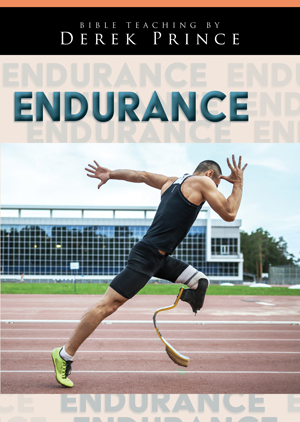 This is and image of the Endurance product.