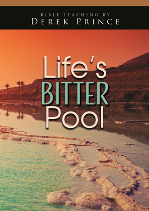 This is and image of the Life's Bitter Pool product.