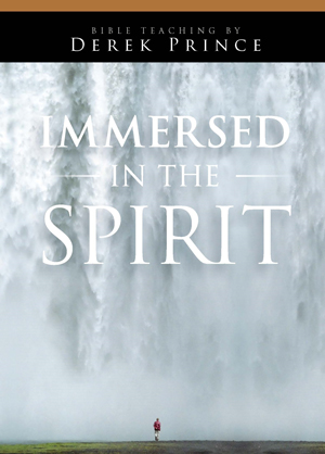This is and image of the Immersed in the Spirit product.