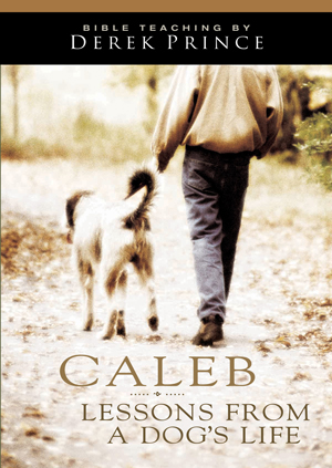 This is and image of the Caleb: Lessons from a Dog's Life product.