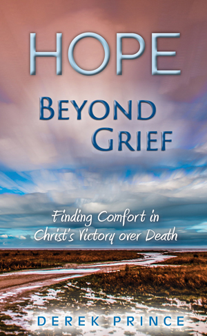 This is and image of the Hope Beyond Grief product.