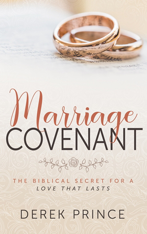 This is and image of the Marriage Covenant product.