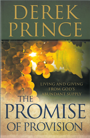 This is and image of the Promise of Provision, The product.
