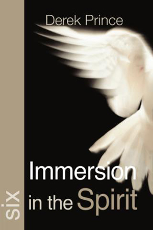 This is and image of the Immersion in the Spirit product.