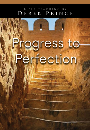 This is and image of the Progress to Perfection product.